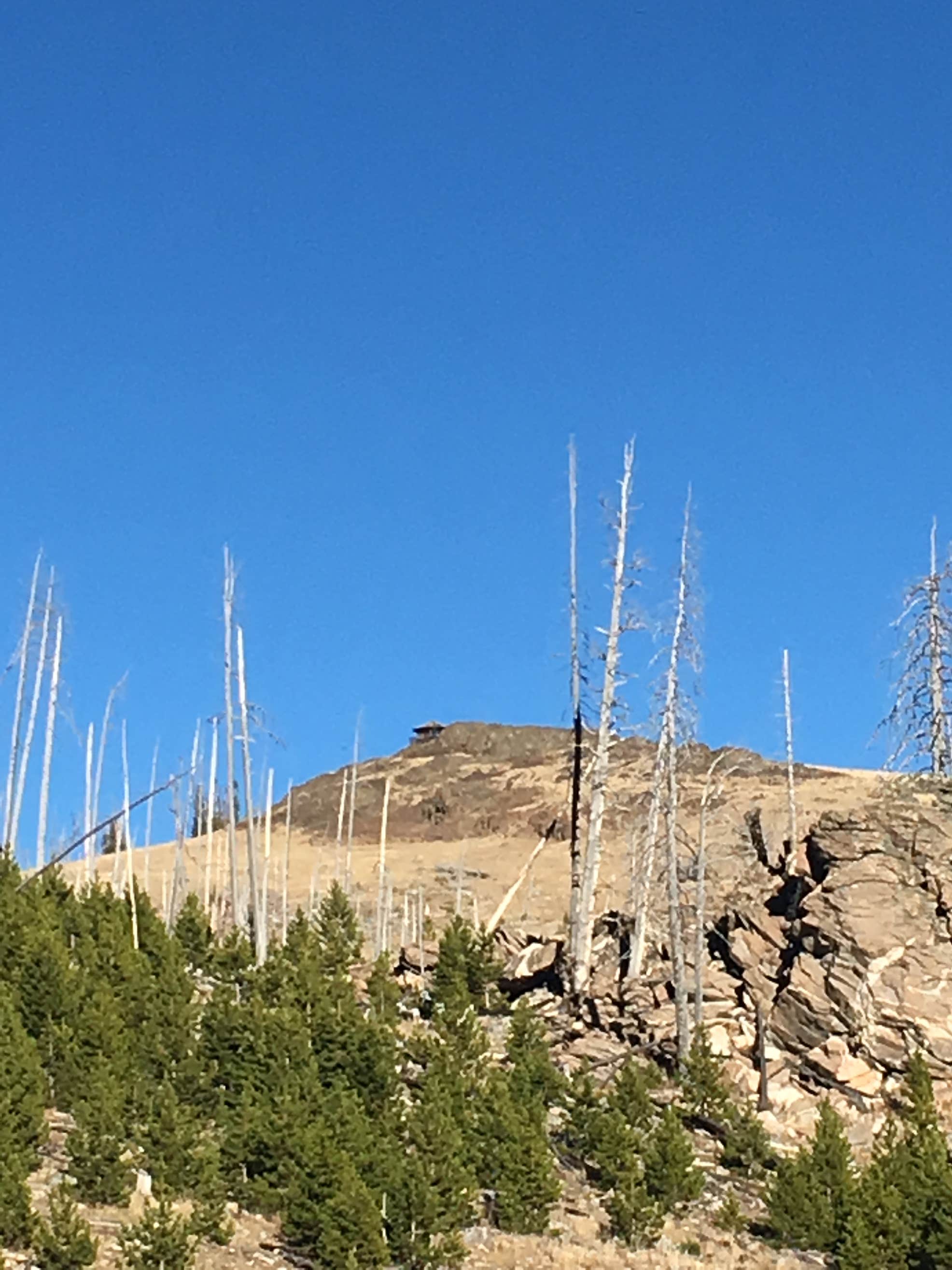 Bighorn National Forest The Dyrt