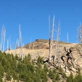 Review photo of Bighorn National Forest by Melanie Z., July 8, 2018