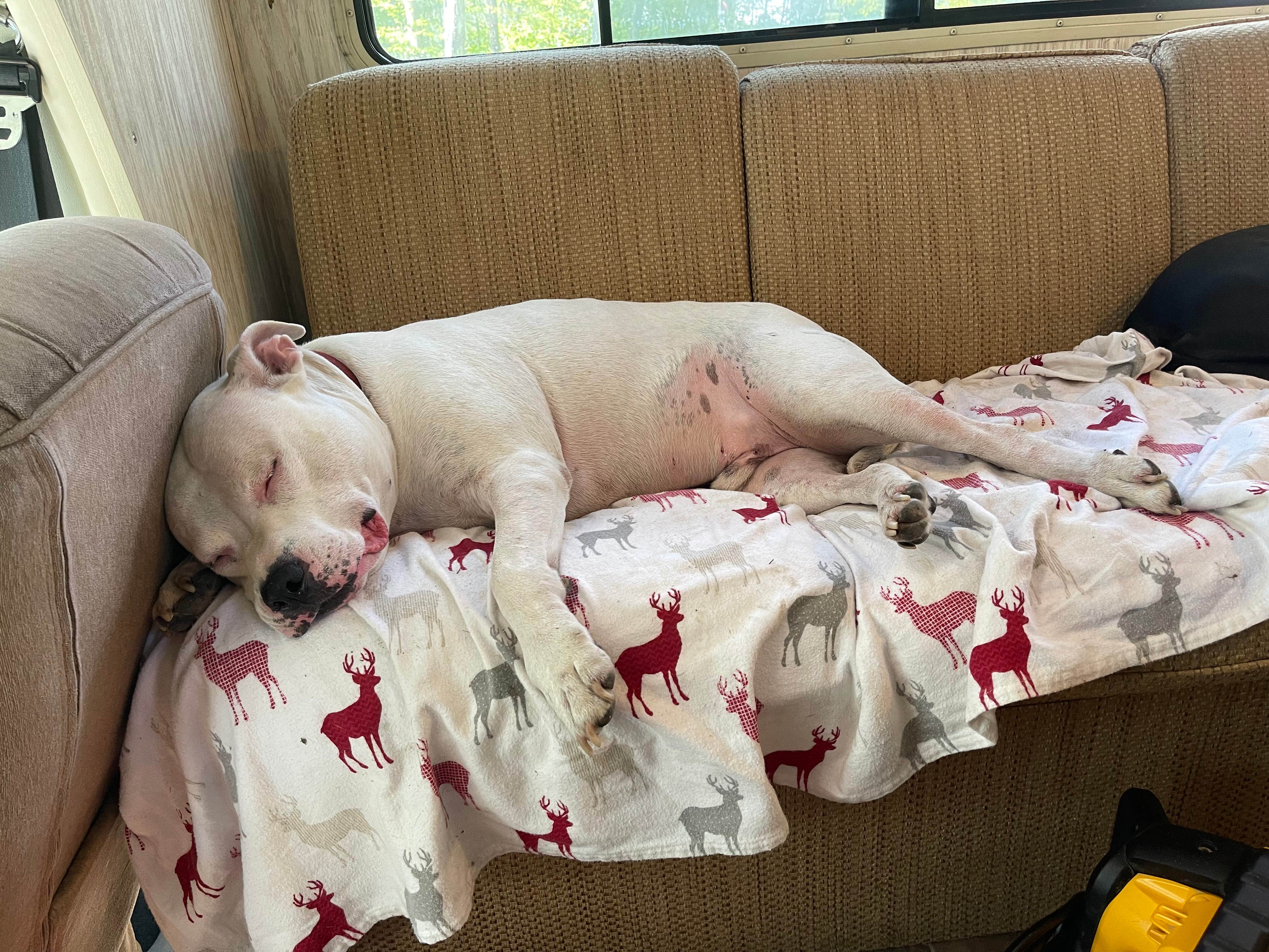 Camper-submitted photo at Anchor Woods Campground near Trego, WI