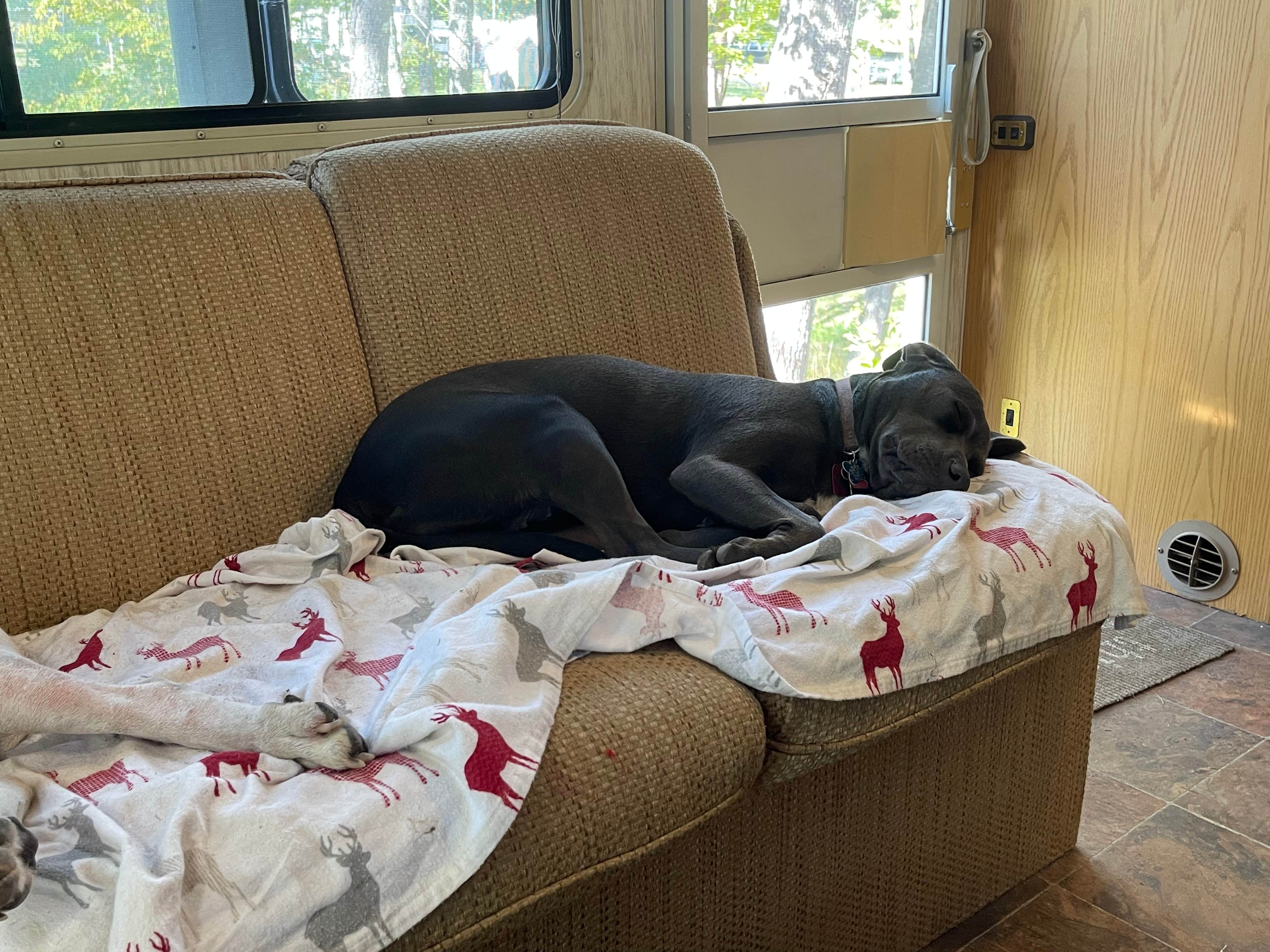 Camper-submitted photo at Anchor Woods Campground near Trego, WI