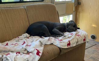 Debbie V.'s photo of camping with pets at Anchor Woods Campground in Wisconsin