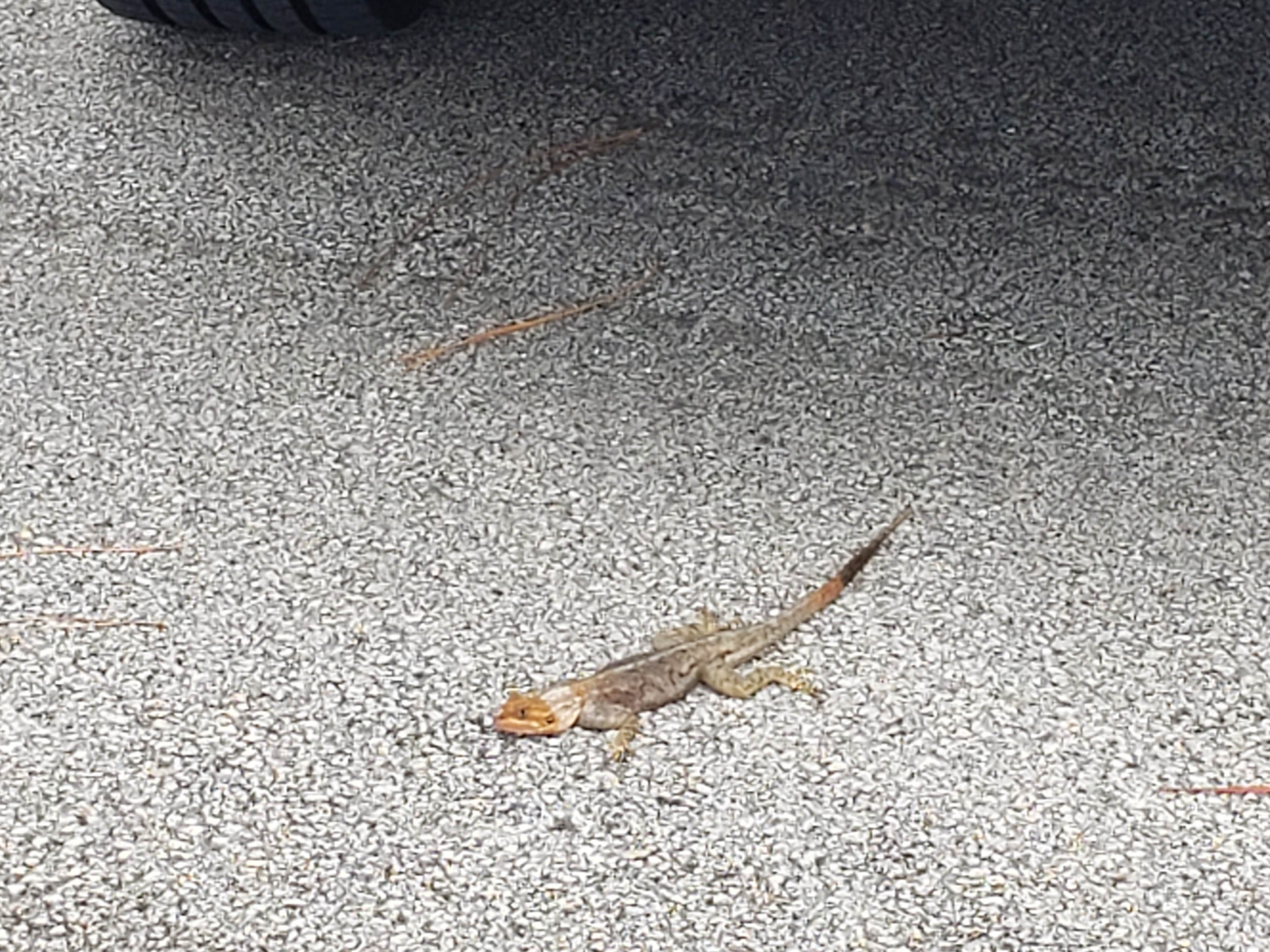 Camper-submitted photo at River Camground — Jonathan Dickinson State Park near Port St. Lucie, FL