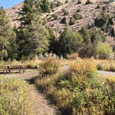 Review photo of Elk Fork Campground by N I., October 1, 2021