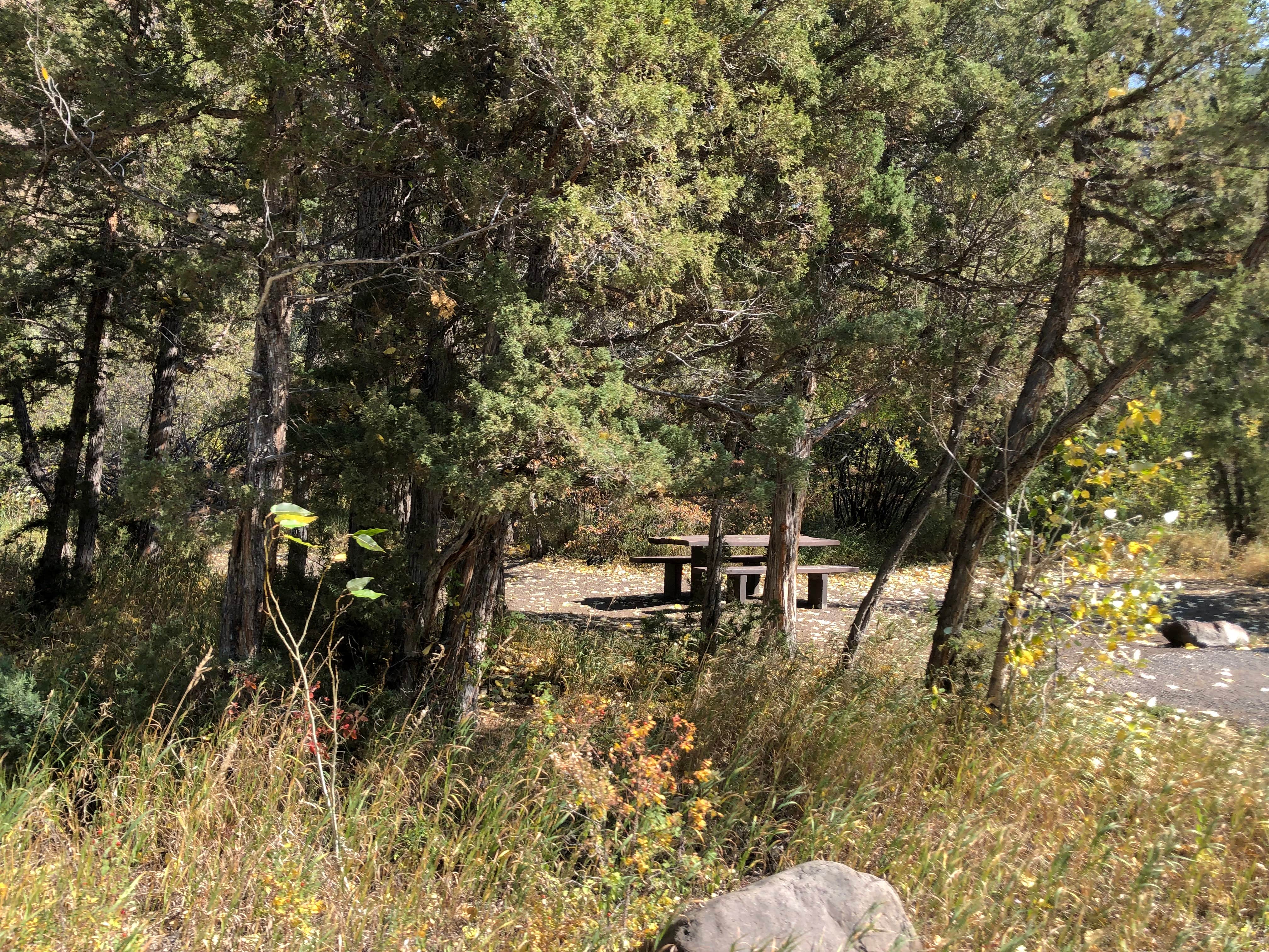 Camper-submitted photo at Elk Fork Campground near Wapiti, WY