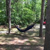 Review photo of Leech Lake Recreation Area & Campground by TyAnn J., July 8, 2018