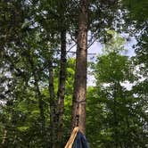 Review photo of Leech Lake Recreation Area & Campground by TyAnn J., July 8, 2018