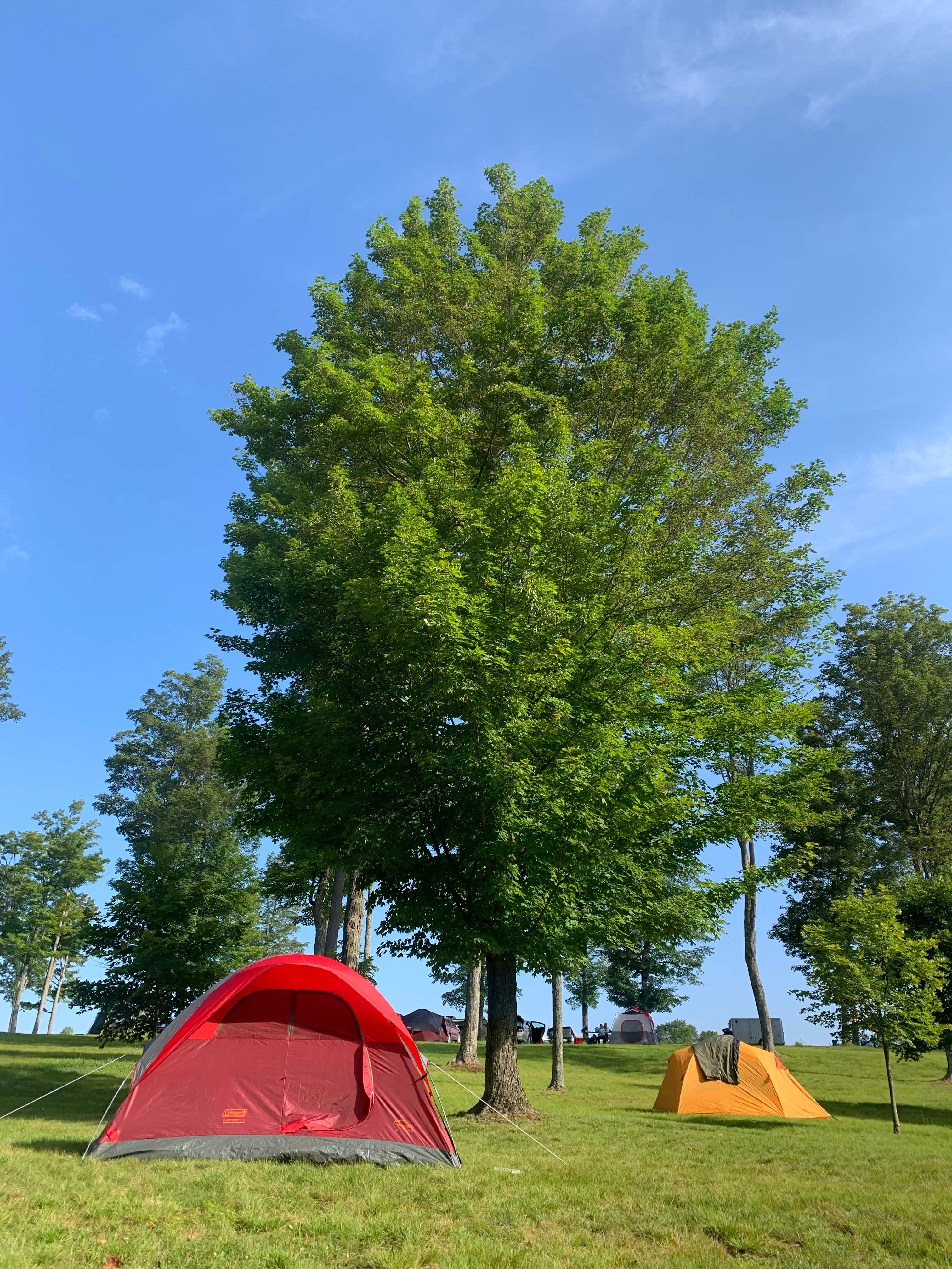 Peyton B.'s photo at Cherry Springs State Park Campground near Turtlepoint, PA