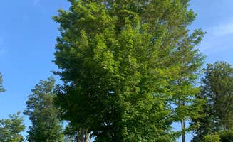 Peyton B.'s photo at Cherry Springs State Park Campground near Turtlepoint, PA