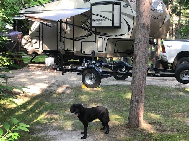TyAnn J.'s photo of camping with pets at Leech Lake Recreation Area & Campground near Cohasset, MN