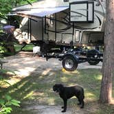 Review photo of Leech Lake Recreation Area & Campground by TyAnn J., July 8, 2018