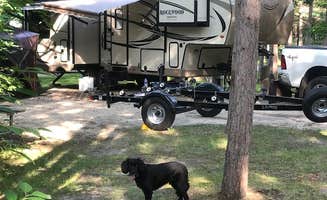 TyAnn J.'s photo of camping with pets at Leech Lake Recreation Area & Campground near Walker, MN