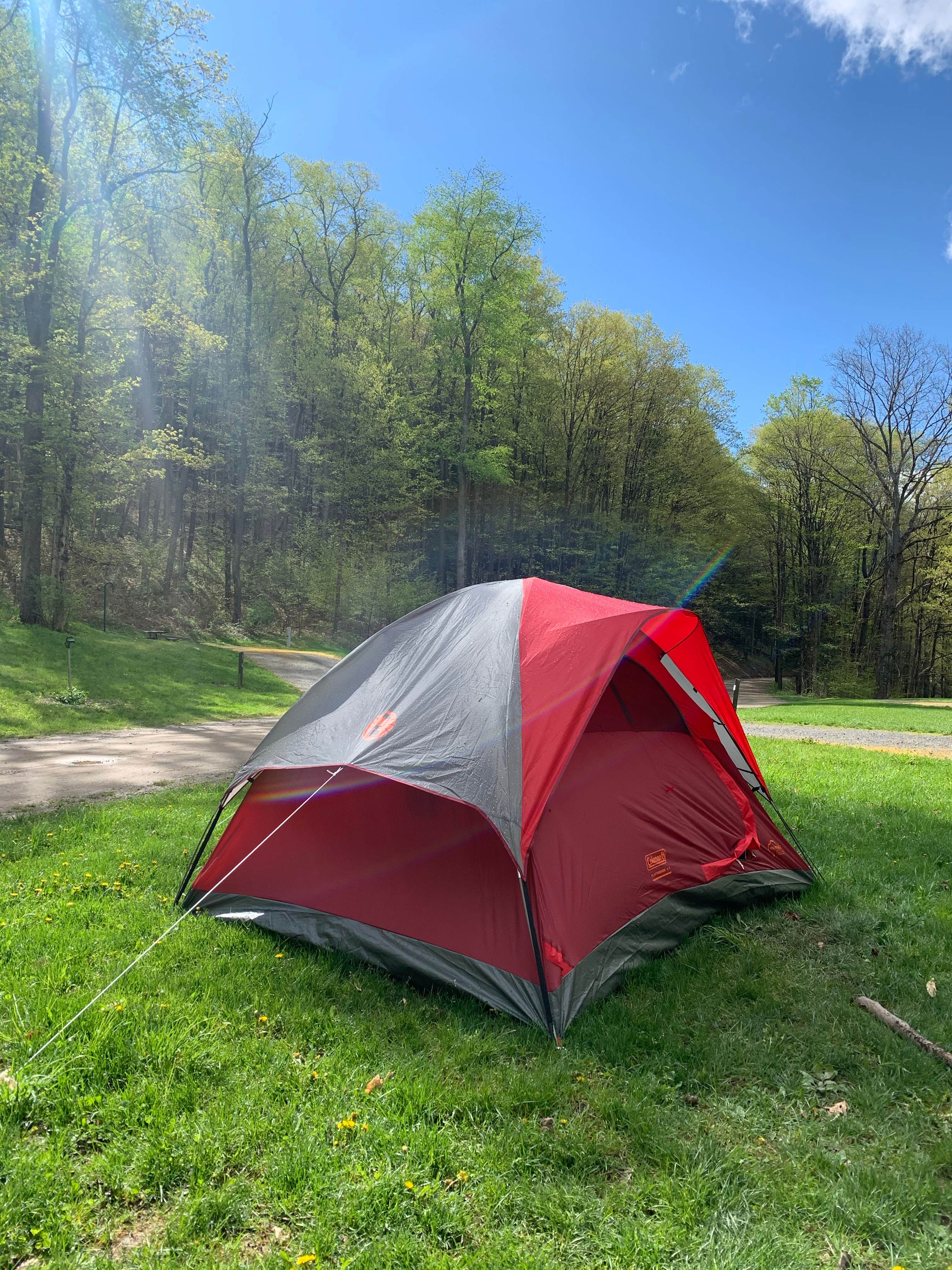 Peyton B.'s photo at Lyman Run State Park Campground near Emporium, PA