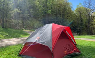 Peyton B.'s photo at Lyman Run State Park Campground near Emporium, PA