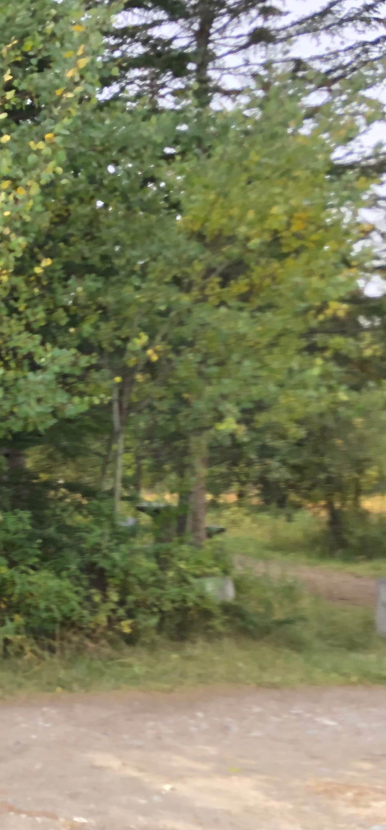 Camper-submitted photo at West Boulder Trailhead and Campground near Emigrant, MT