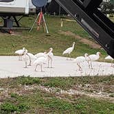 Review photo of Fisherman's Cove Golf and RV Resort by deb K., December 16, 2021
