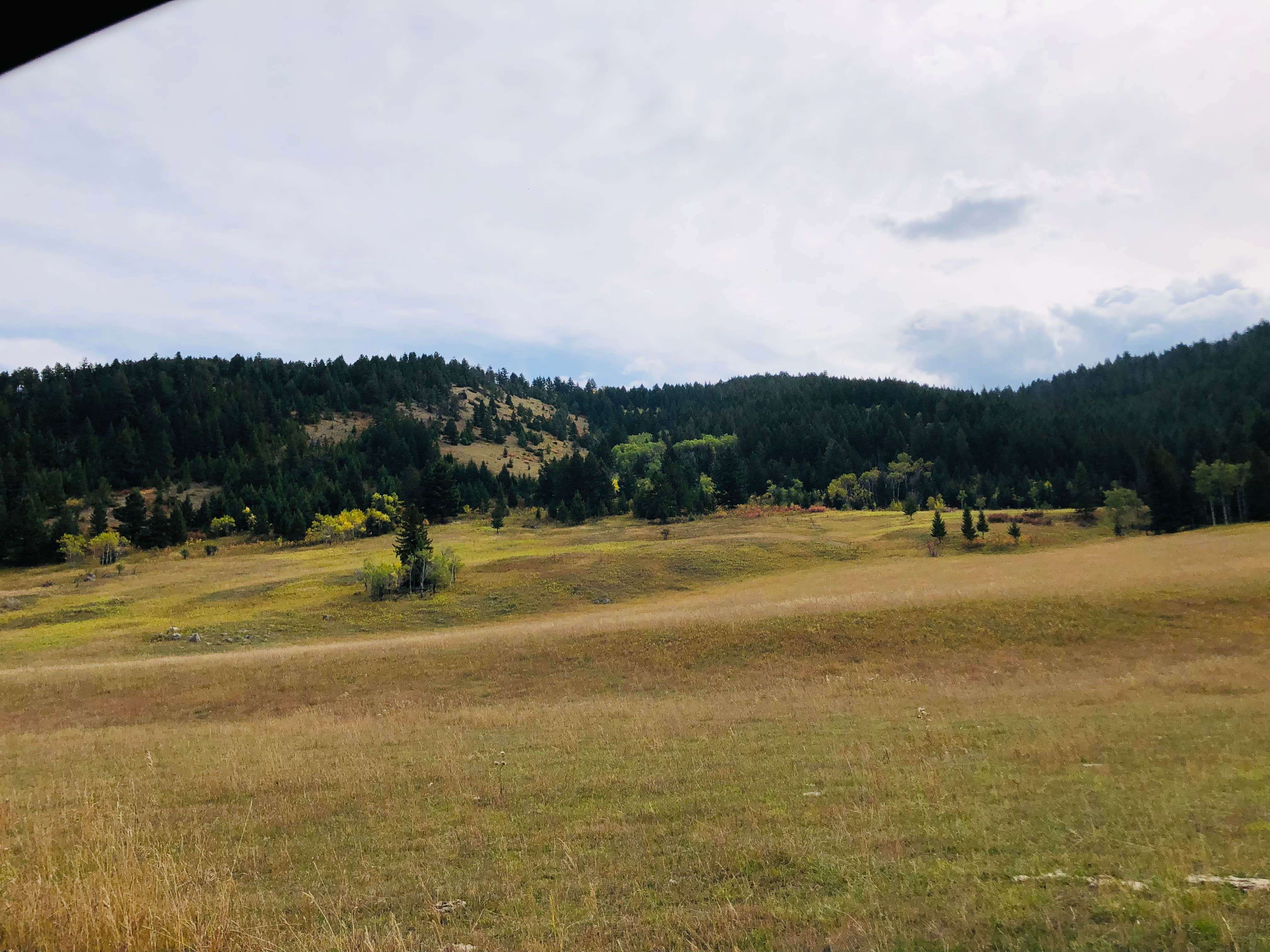 Camper-submitted photo at West Boulder Trailhead and Campground near Emigrant, MT