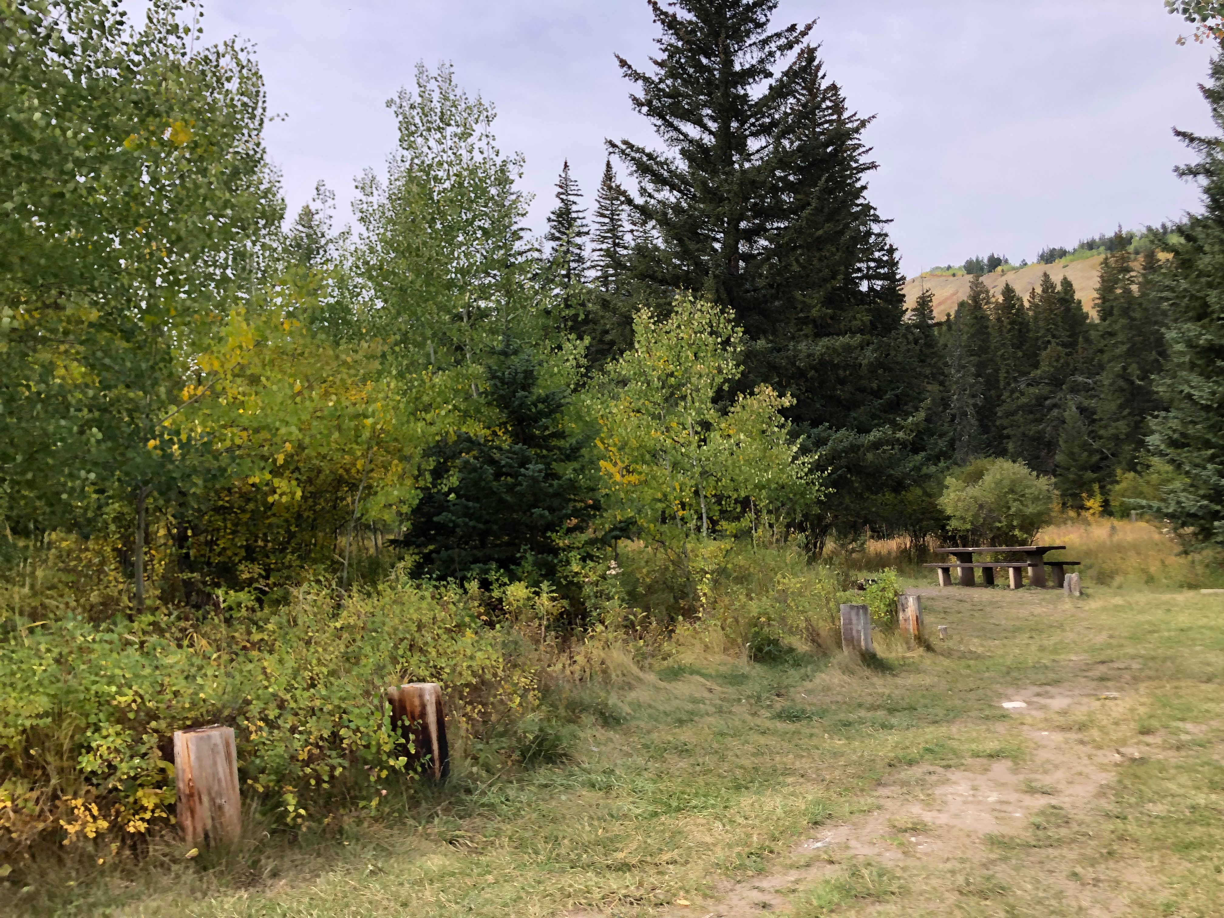 Camper-submitted photo at West Boulder Trailhead and Campground near Emigrant, MT