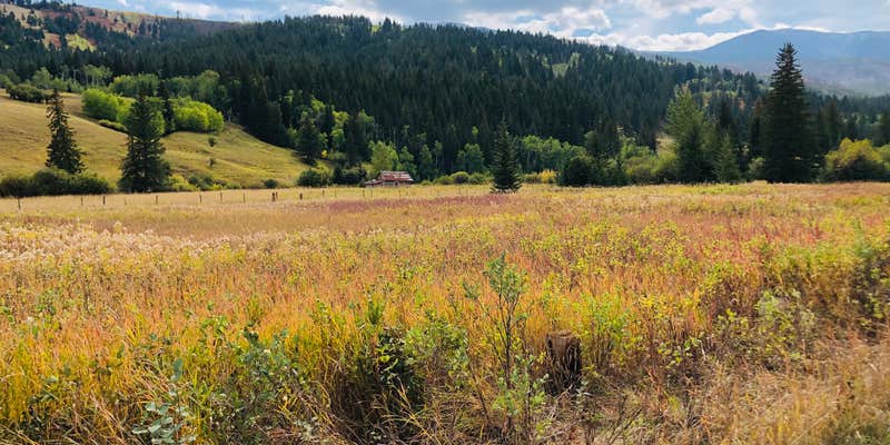 Camper submitted image from West Boulder Trailhead and Campground