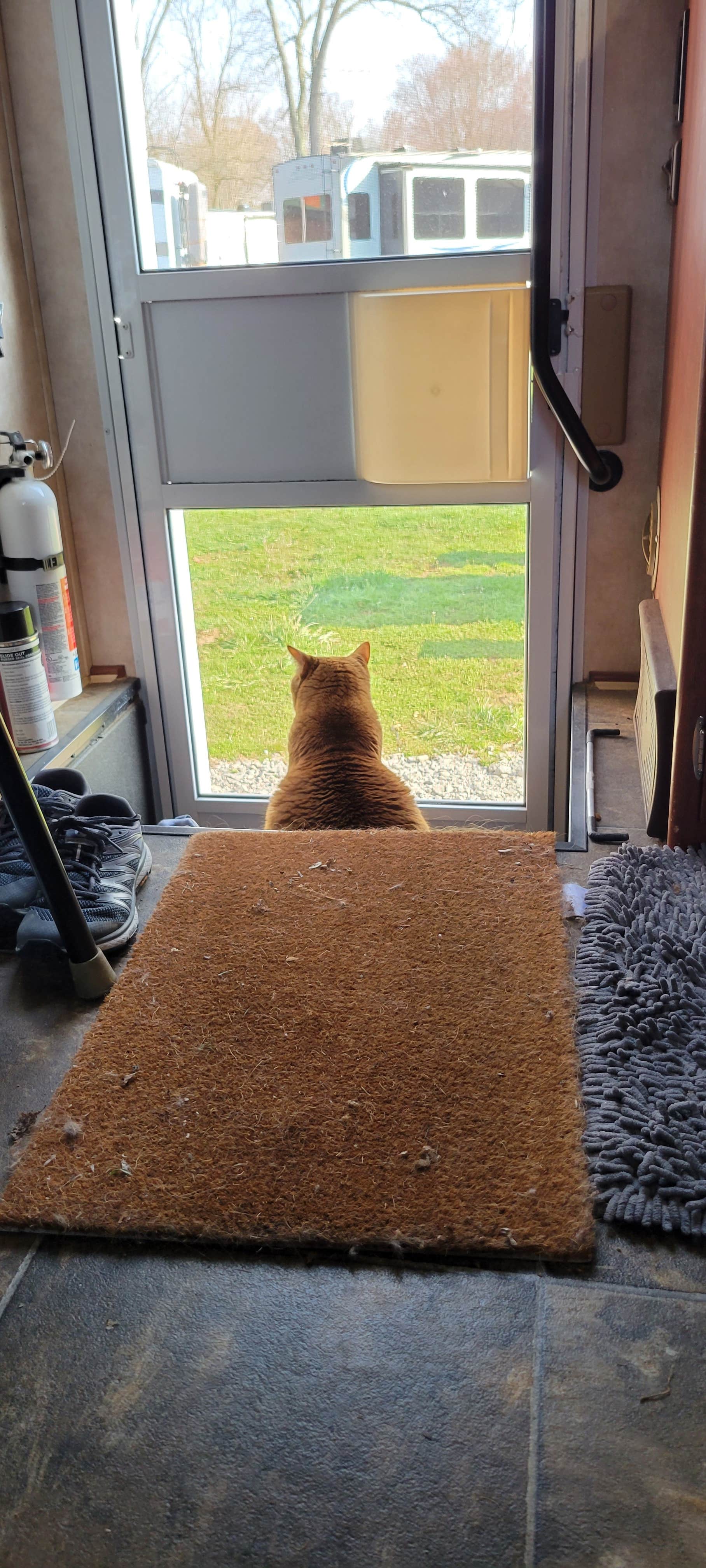 Clean Slate D.'s photo of camping with pets at Chestnut Ridge Park and Campground near Poland, OH