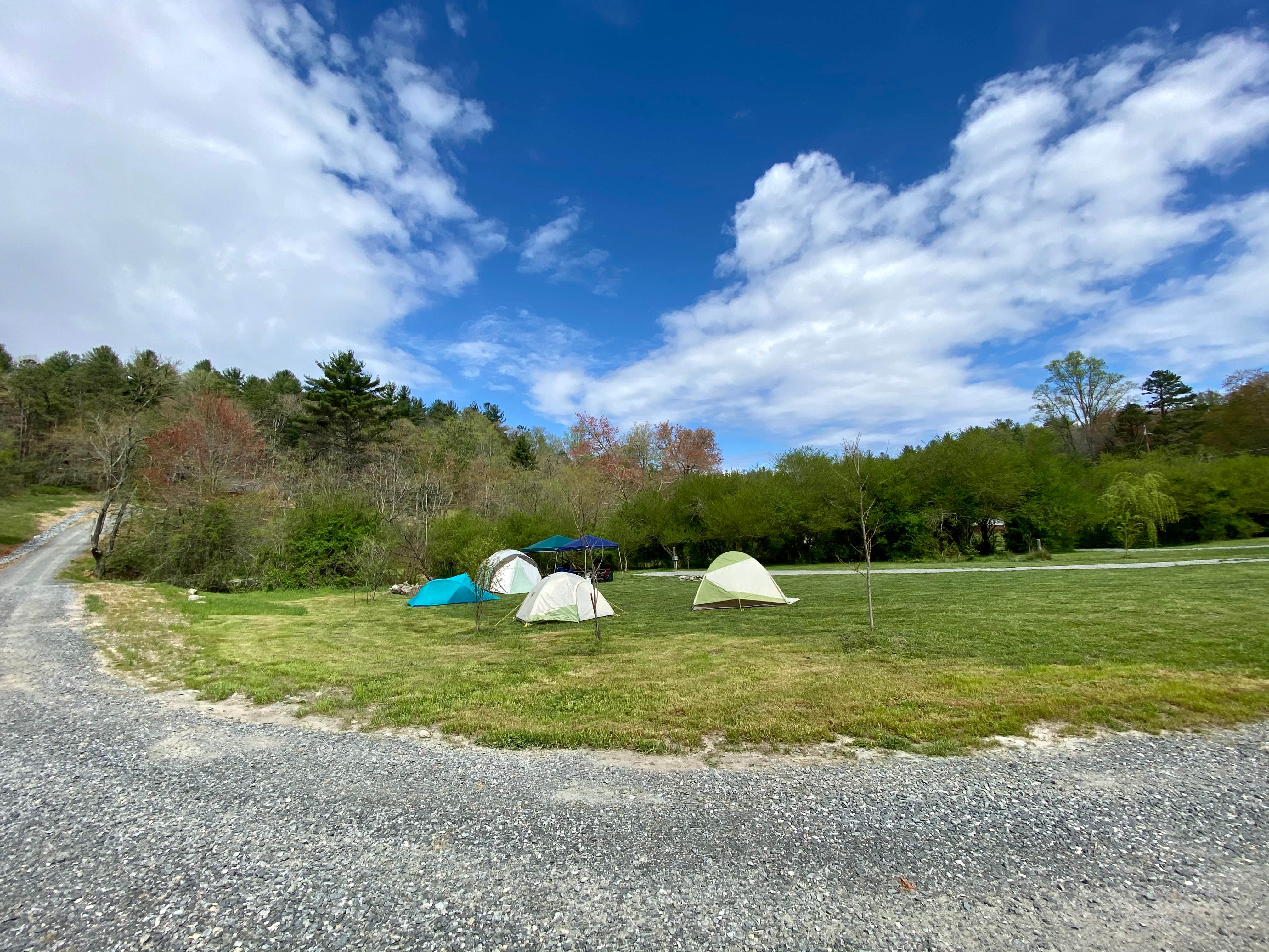 Hayden P.'s photo at Pisgah Forest Mountain Meadows near Flat Rock, NC