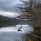 Review photo of Beavers Bend State Park Campground by Donna H., December 16, 2021