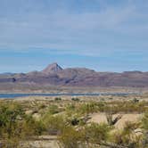 Review photo of Alamo Lake State Park Campground by Bob & Ramona F., December 16, 2021