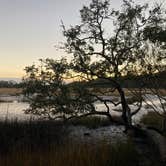 Review photo of Edisto Beach State Park Campground by Kevin H., December 16, 2021