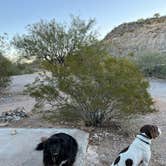 Review photo of Snyder Hill BLM Camping Area by Jessica C., December 16, 2021