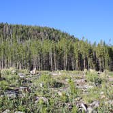 Review photo of Libby Creek Willow Campground by Melanie Z., July 8, 2018