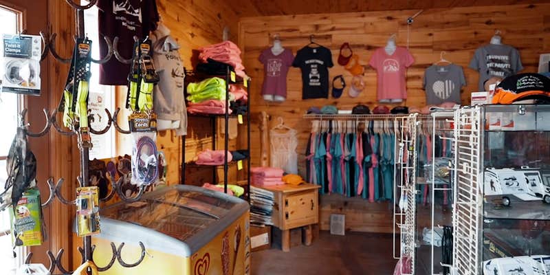 Camper submitted image from South Forty RV Park