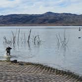 Review photo of Alamo Lake State Park Campground by Bob & Ramona F., December 16, 2021