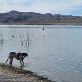 Review photo of Alamo Lake State Park Campground by Bob & Ramona F., December 16, 2021