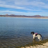 Review photo of Alamo Lake State Park Campground by Bob & Ramona F., December 16, 2021