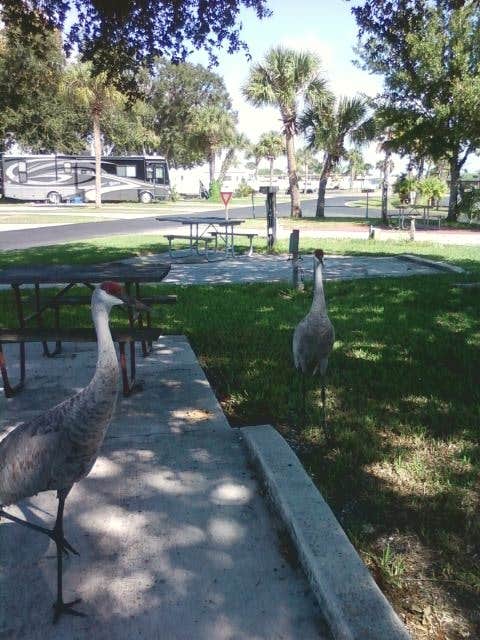 Camper submitted image from KOA Campground Okeechobee - 5