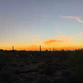 Review photo of Lost Dutchman State Park Campground by Christopher A., December 18, 2021