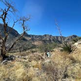 Review photo of Kartchner Caverns State Park Campground by Christopher A., December 18, 2021