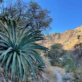 Review photo of Kartchner Caverns State Park Campground by Christopher A., December 18, 2021