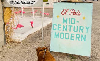 lindsey B.'s photo of camping with pets at El Pais Motel & Campgrounds near Saguaro National Park