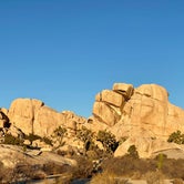 Review photo of Indian Cove Campground — Joshua Tree National Park by Kobe T., December 18, 2021