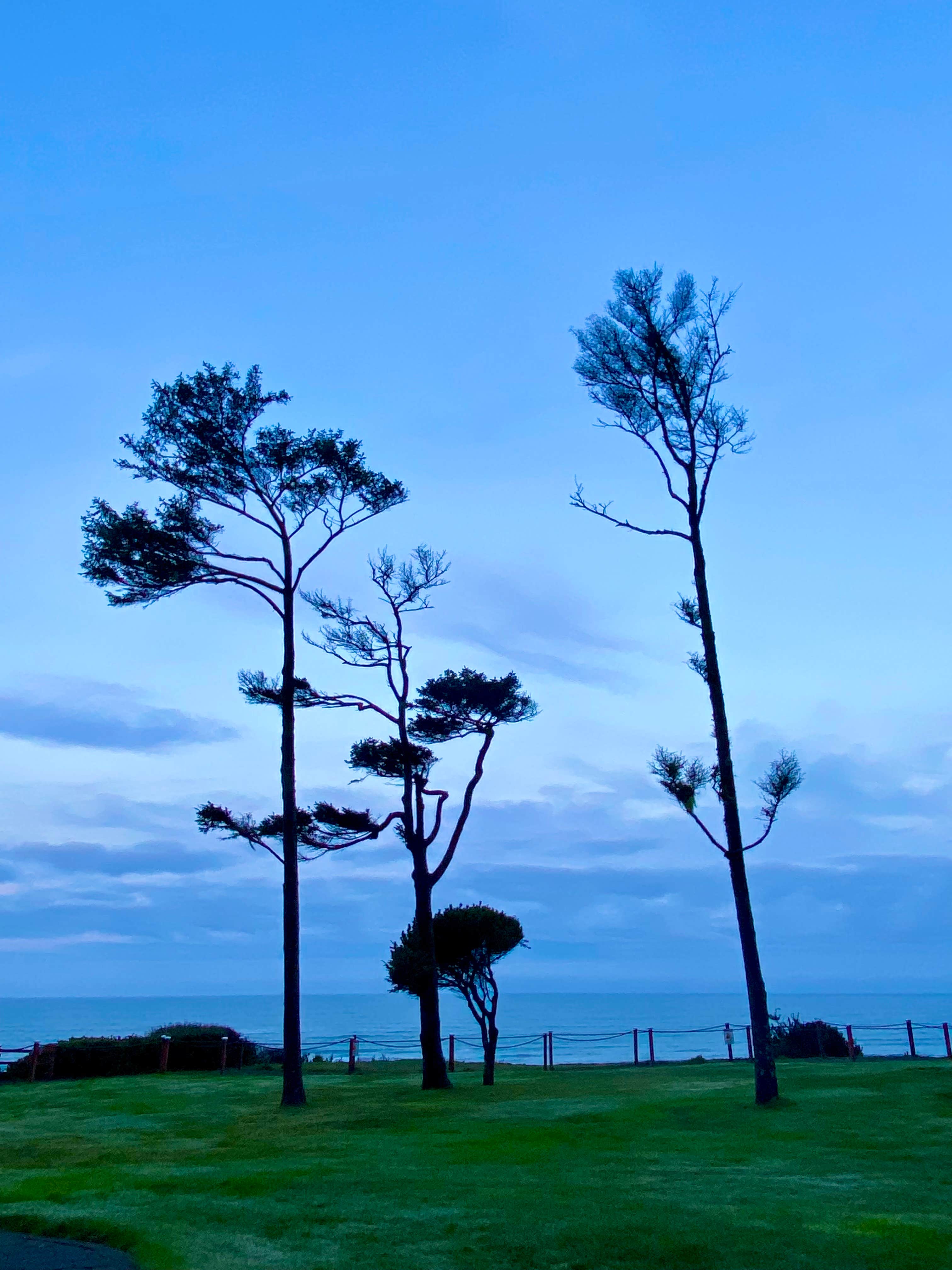 Camper-submitted photo at Pacific Shores Motorcoach Resort near Seal Rock, OR