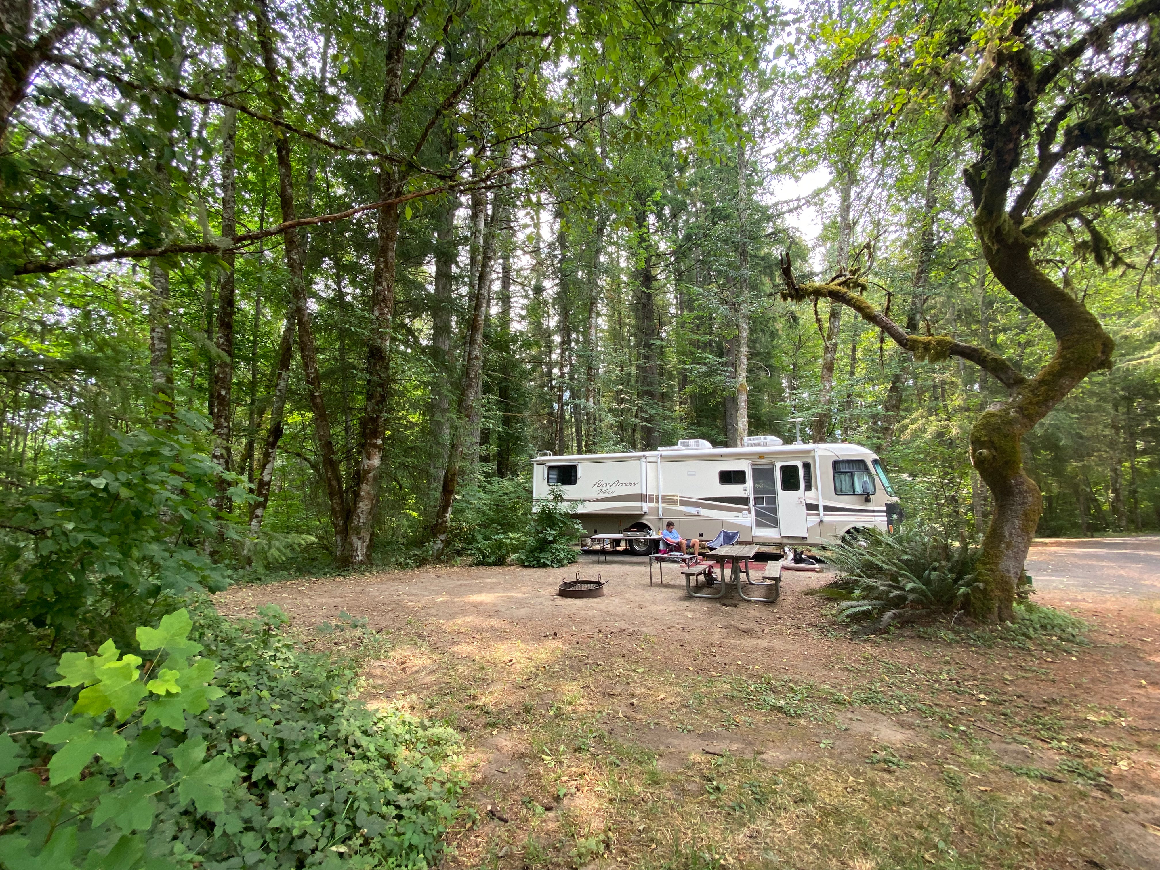 Camper submitted image from Cowlitz Falls Campground - 4