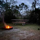 Review photo of Ochlockonee River State Park Campground by Alton S., December 18, 2021