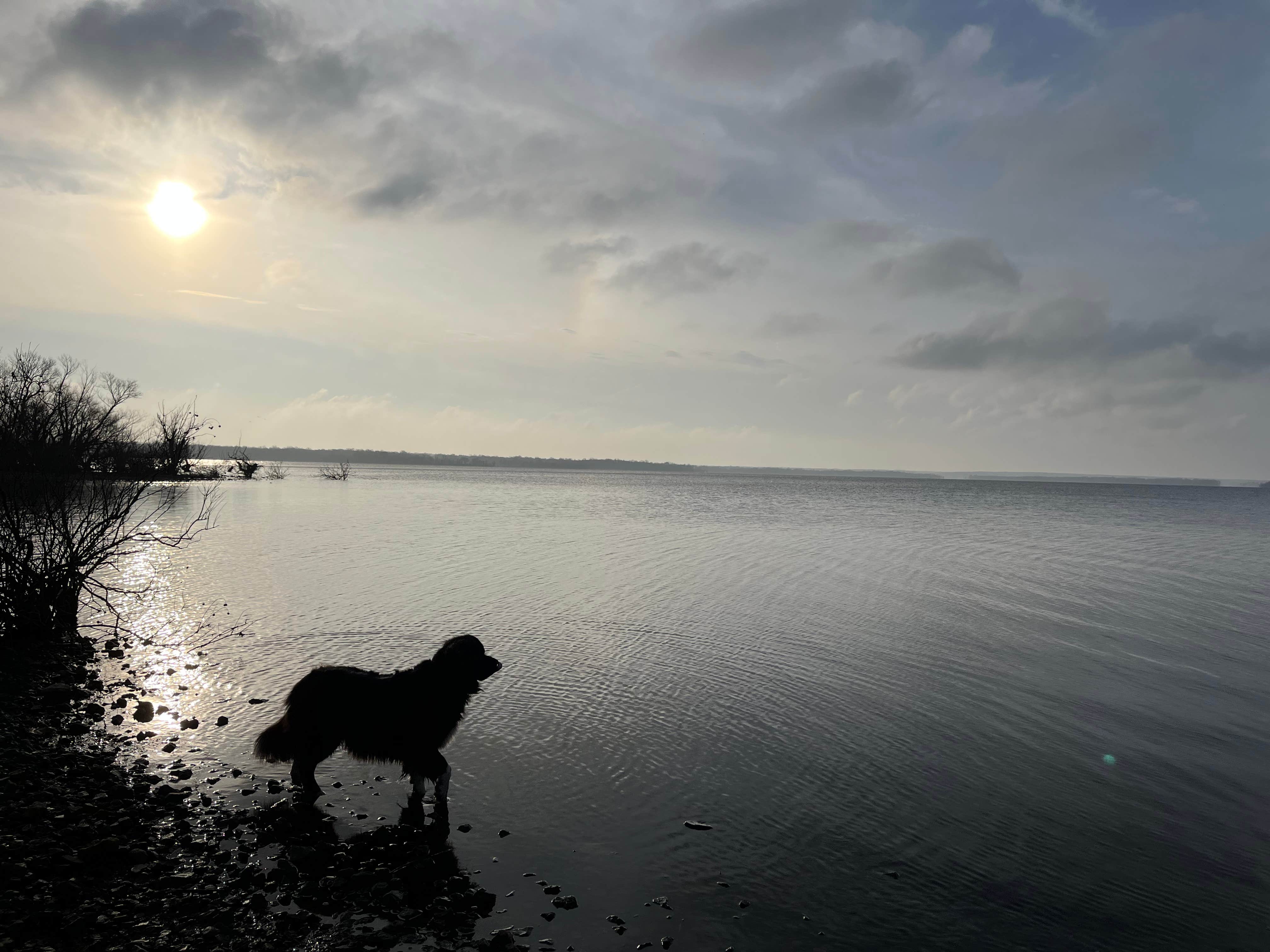 Camper-submitted photo at Bernice Area — Grand Lake State Park near Disney, OK