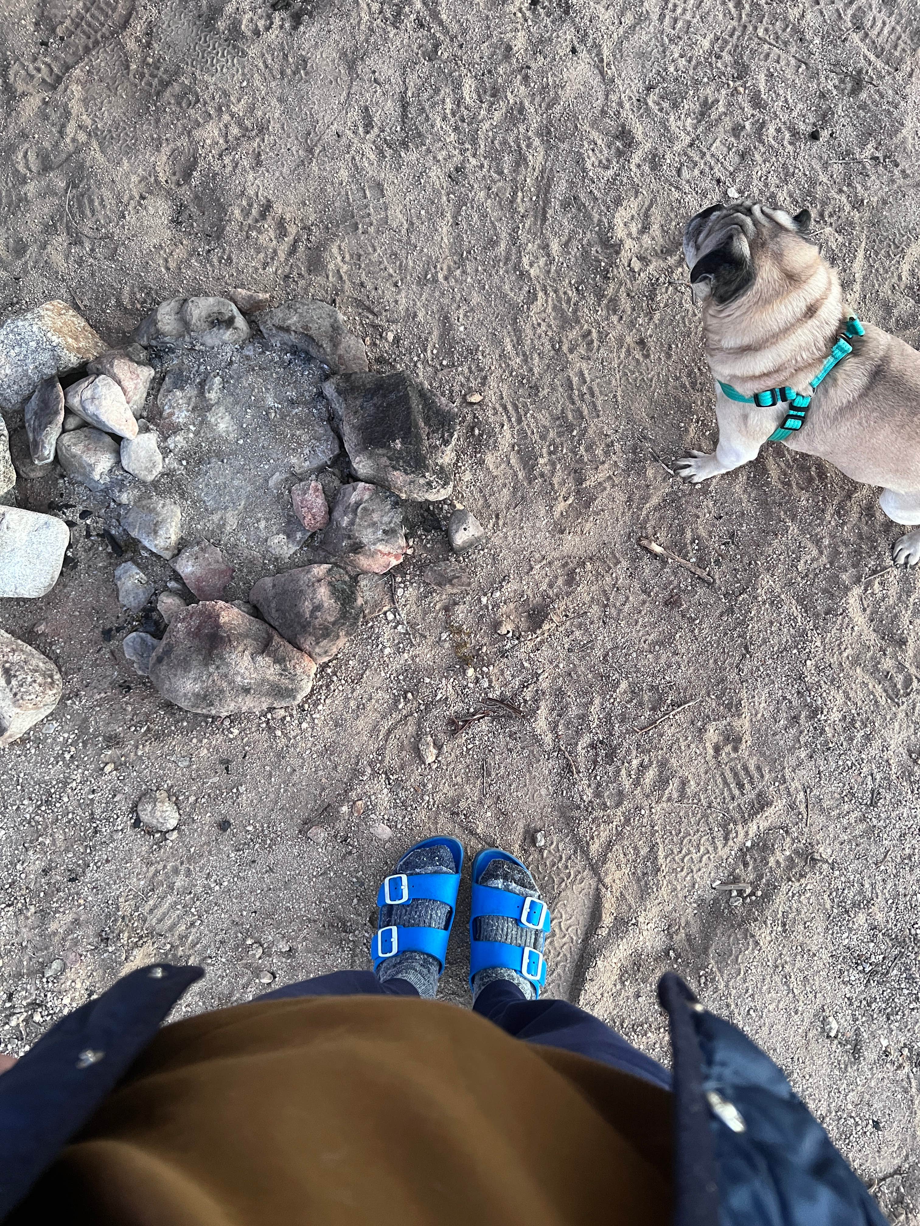 crystal J.'s photo of camping with pets at Chiriaco Summit Dry Camp Area near Niland, CA