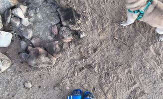 crystal J.'s photo of camping with pets at Chiriaco Summit Dry Camp Area near Joshua Tree National Park