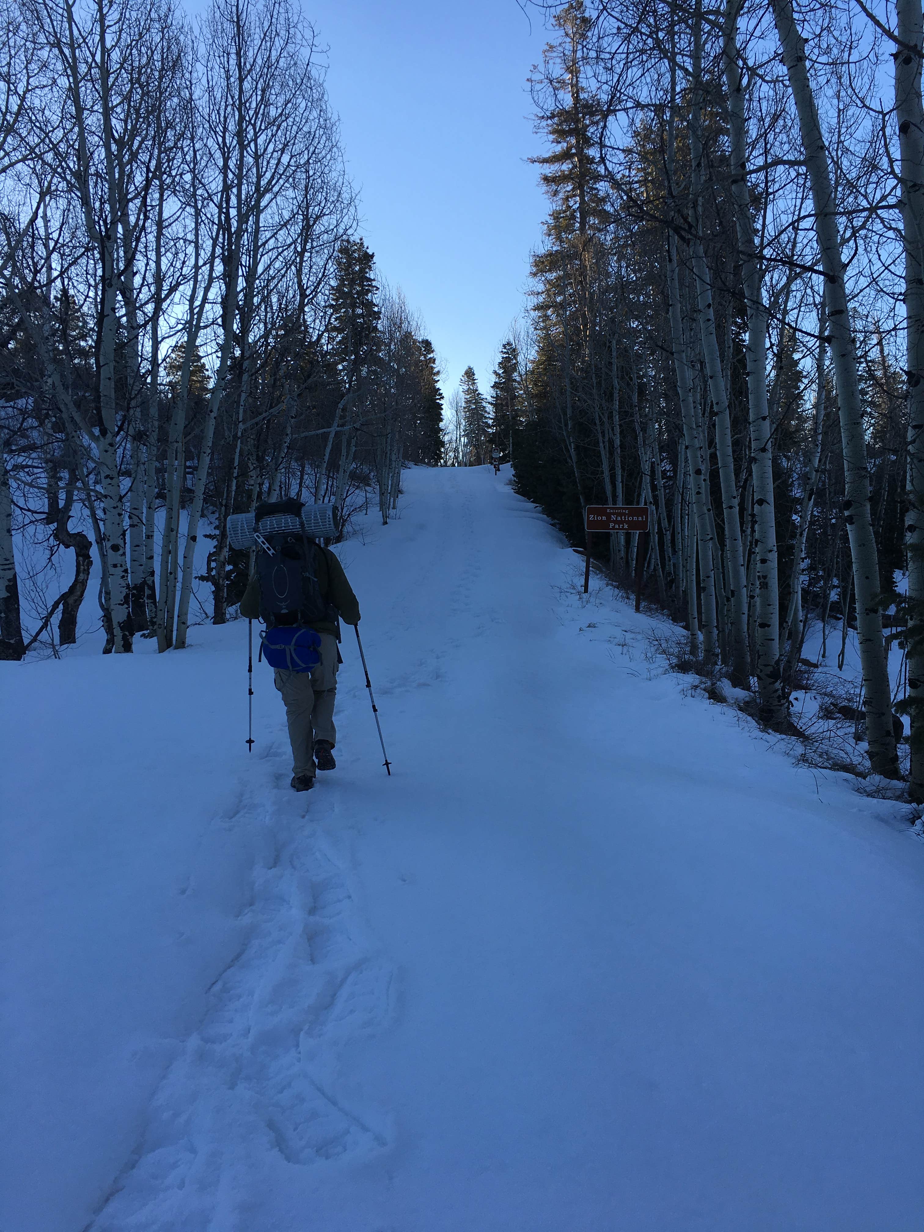 Camper submitted image from Lava Point Campground — Zion National Park - 5