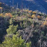 Review photo of South Fork Campground — Sequoia National Park by Richard D., December 19, 2021