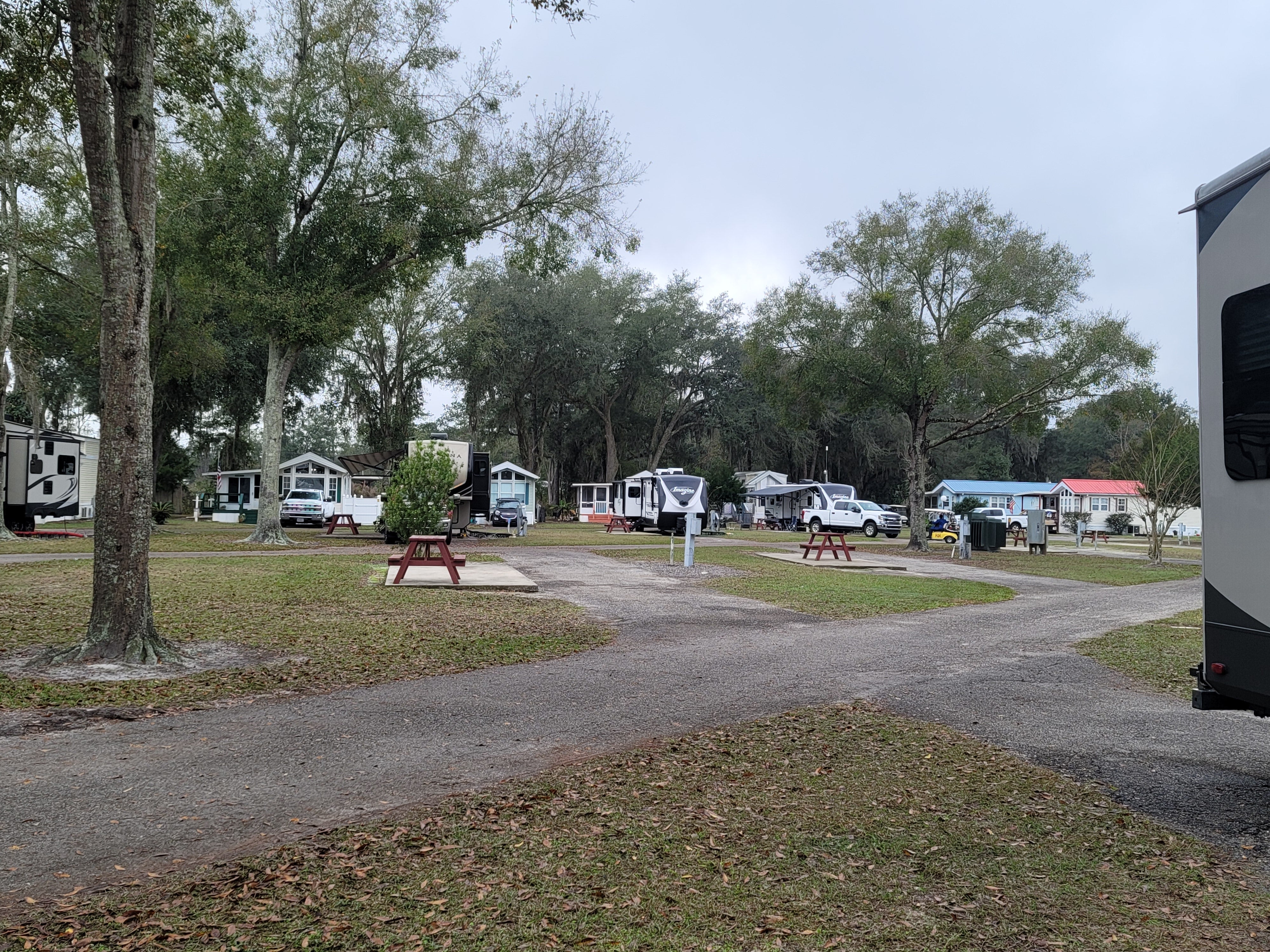 Camper submitted image from Starke-Gainesville NE KOA - 4