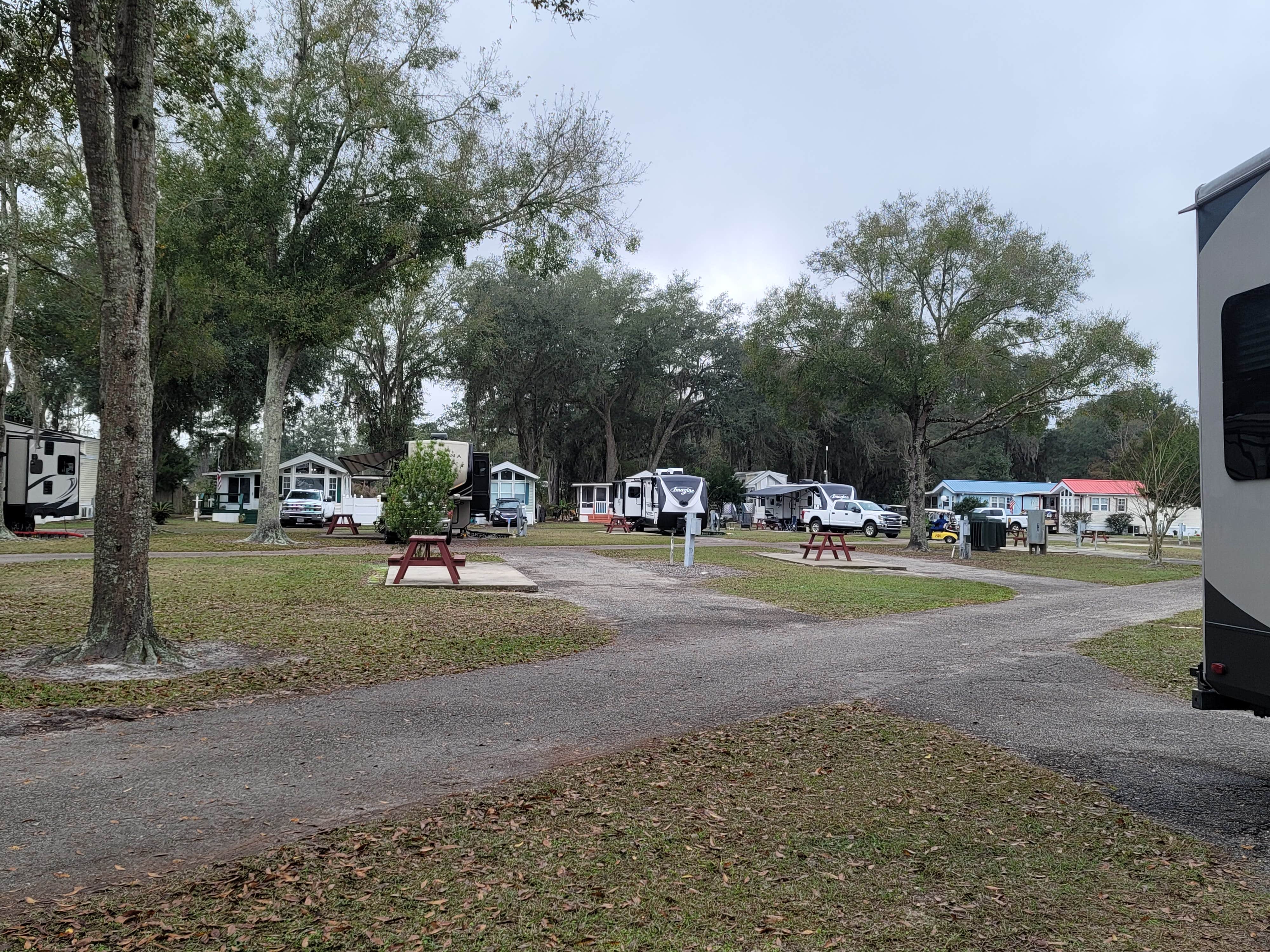 Camper submitted image from Starke-Gainesville NE KOA - 3