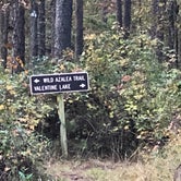 Review photo of Valentine Lake Wild Azalea Trail by N I., November 19, 2021